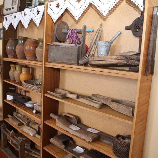 Белица-дк-08