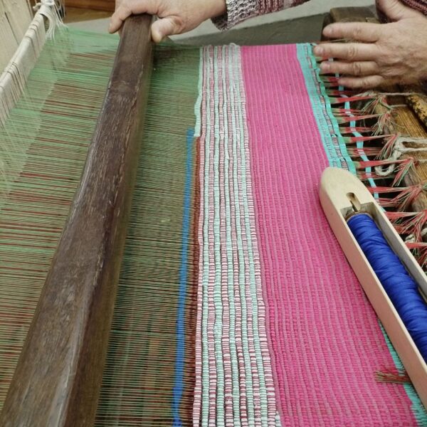 IMG_20260116_084010_256